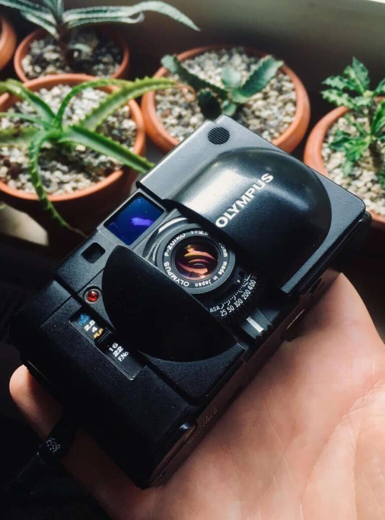 How To Choose Olympus XA Or XA2 For Film Beginners
