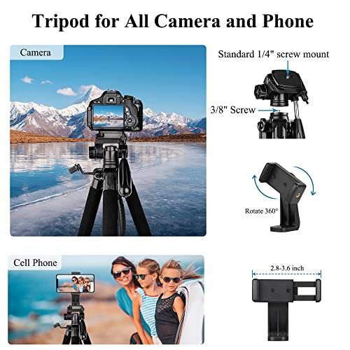 Best Camera Stand For DSLR