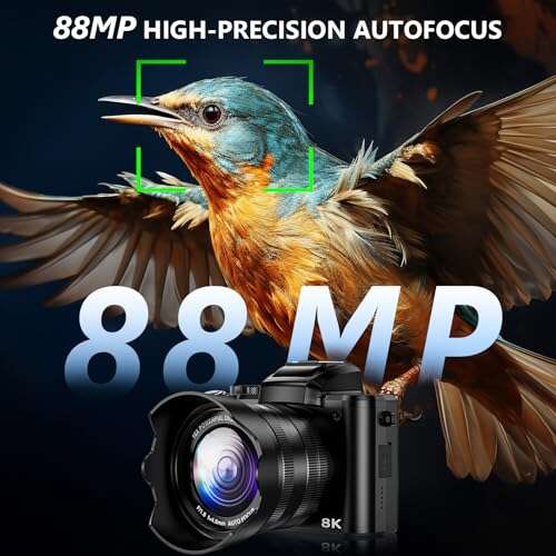 Best Cameras For Wedding Photography
