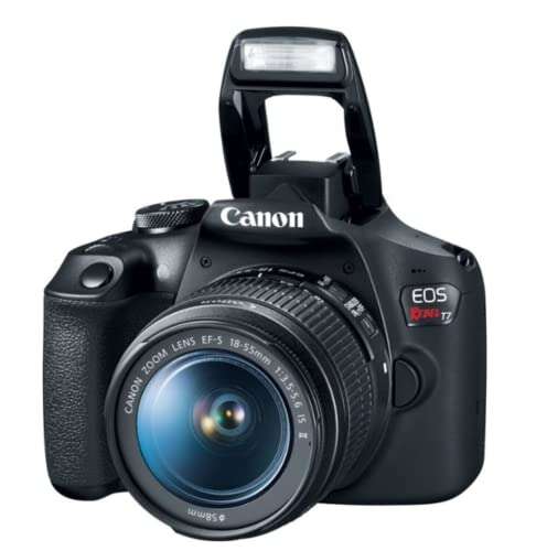 Best Beginner Camera For Wildlife Photography