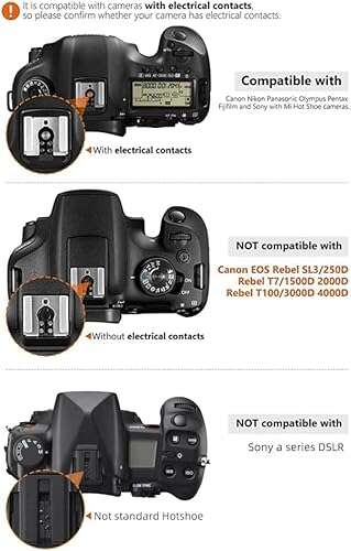 Best Flash For Digital Camera