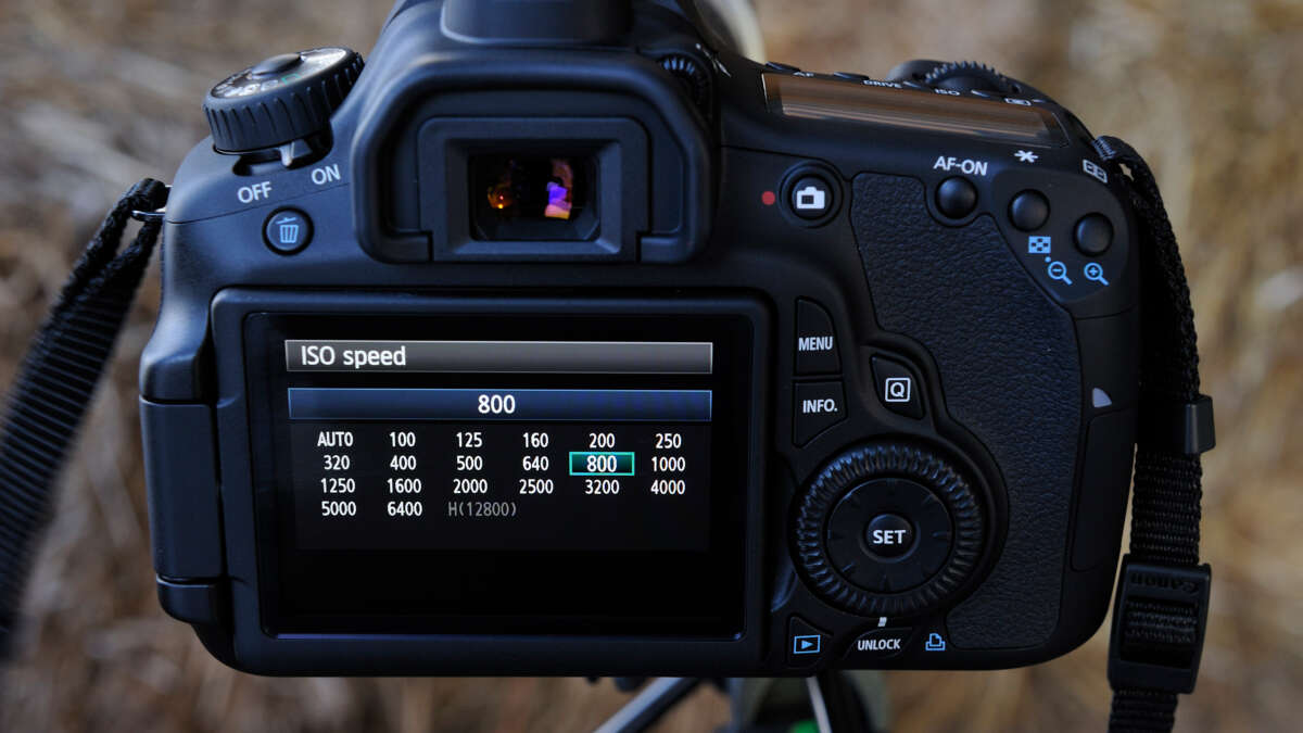 What Is Iso On A Camera
