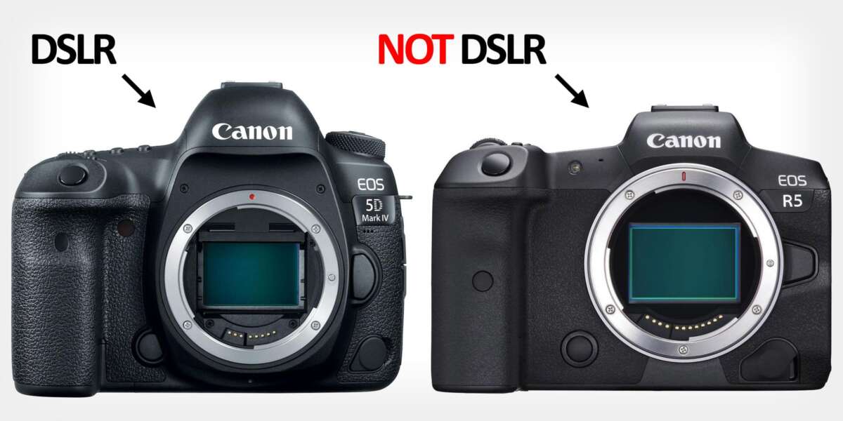 What Is The Dslr Camera