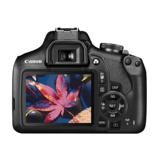 Best Canon Camera For Photos