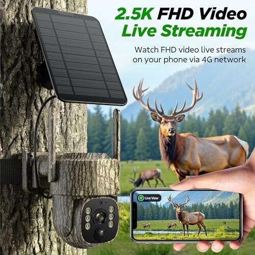 Best Game Cameras For Security