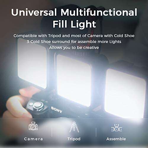 Best Canon Dslr Camera For Low Light