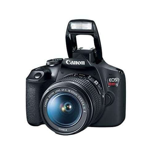 Best Professional Cameras For Beginners