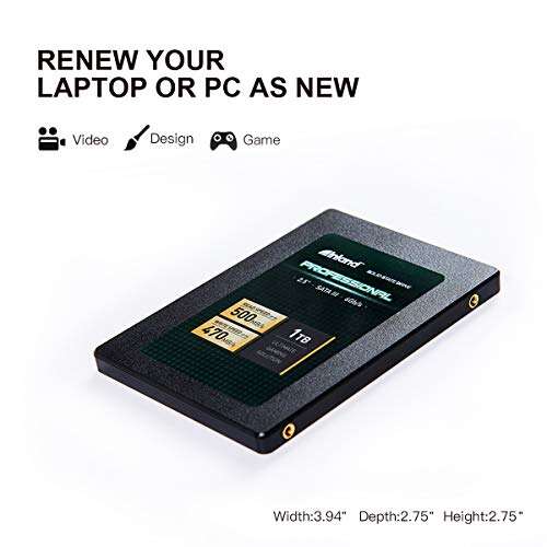 Inland Professional Ssd Review