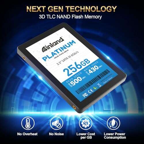 Inland Platinum SSD Review