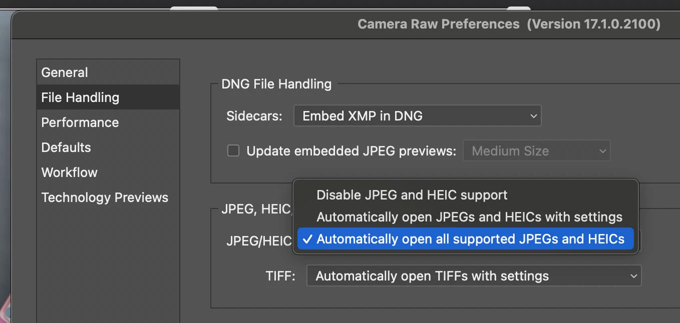 Does Camera Raw Support Heic
