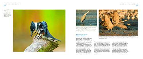 Best Camera For Bird And Wildlife Photography