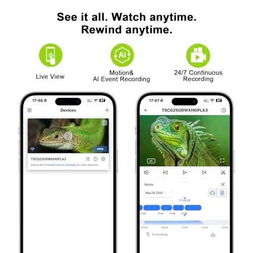 Best Camera For Reptile Enclosure