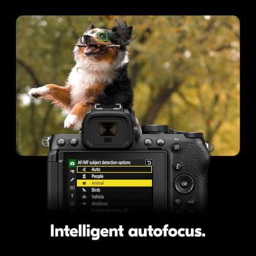 Best Nikon Mirrorless Camera For Beginners