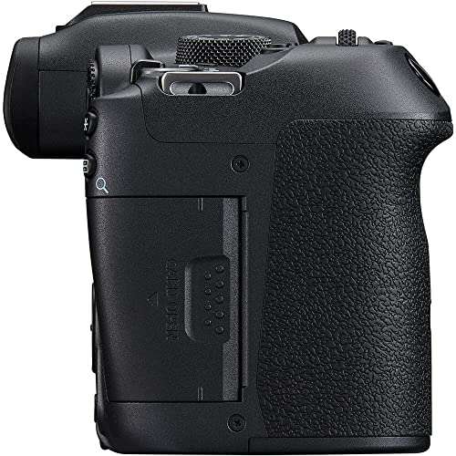 Best Mirrorless Camera For Wildlife