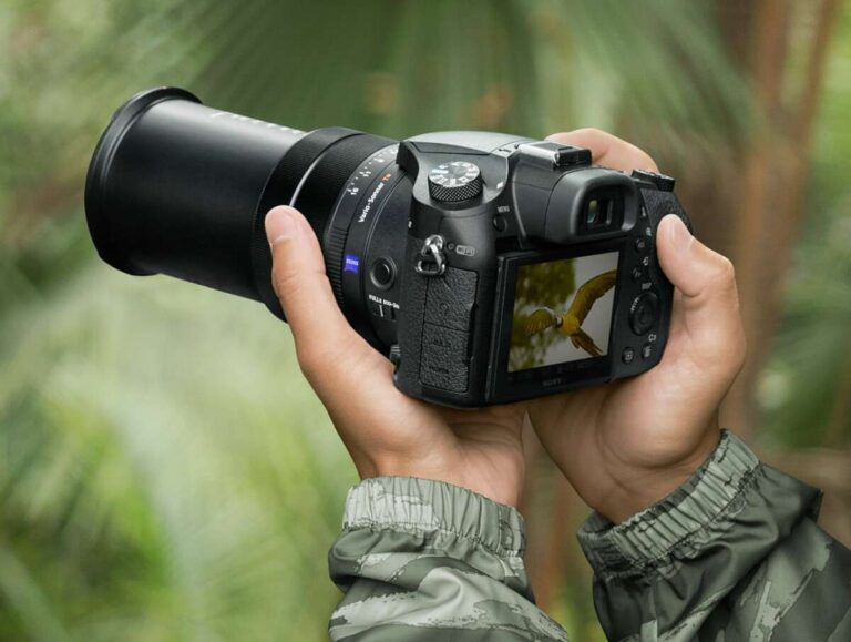 What Is The Best Entry Level Digital Camera