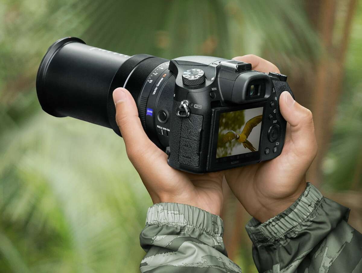 What Is The Best Entry Level Digital Camera