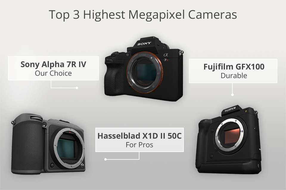 What Canon Camera Has The Highest Megapixels